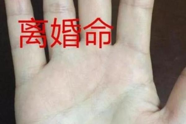 命带白虎之人应当注意的生活与事业指南