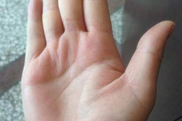 从两个指头的长度看人生的命运与性格探秘