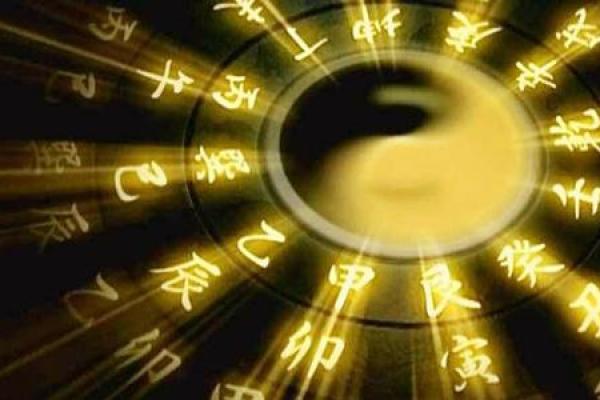 理科男命运分析：八字解密与性格特点