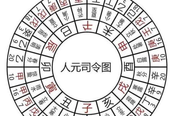 探秘命理：命局对一个人命运的深刻影响与解读