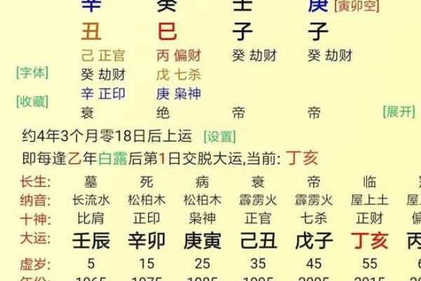 女命己巳年大运解析与命理人生的启示