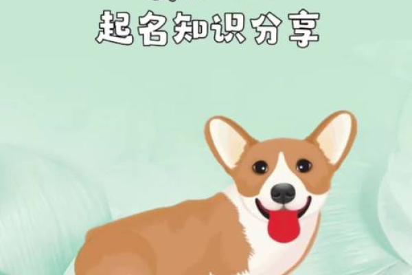 你知道名字有9画代表什么命运吗？探寻姓名的奥秘与人生的关系！