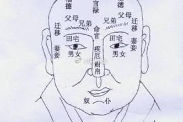 眉毛八字形象征运势解读与命理分析