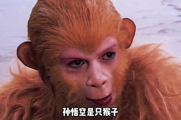 六月份属猴的人命理解析：智慧与机会并存的生肖命运