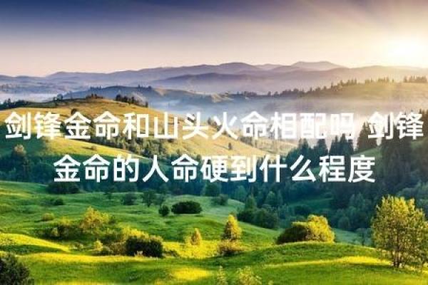 命硬的人与哪些属相最为相配，解锁命理背后的秘密！