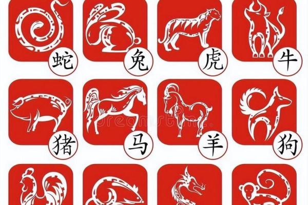 命格中的衰：揭示生肖背后的深层含义与命运走向