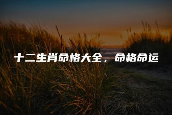 命格中的衰：揭示生肖背后的深层含义与命运走向