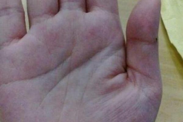 命硬富贵命的深刻解析，探索命运背后的秘密与财富之道