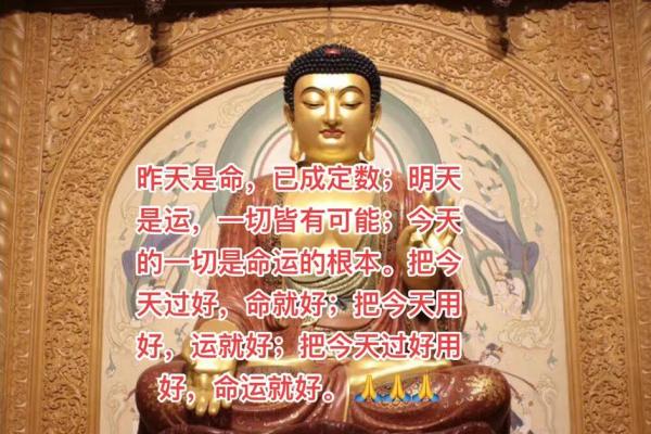 明天出生的人究竟是什么命？探秘生命轨迹与性格特点