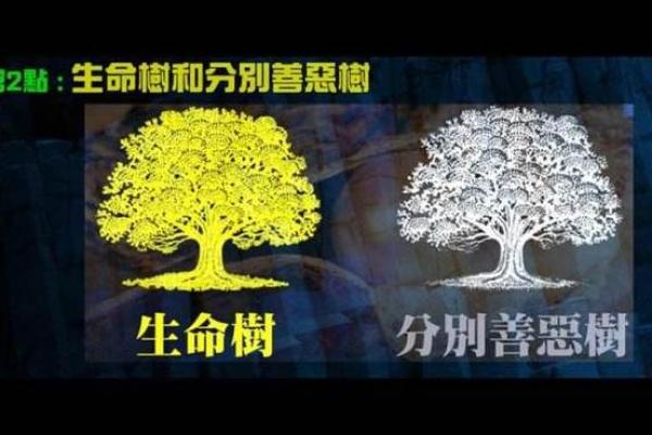 明天出生的人究竟是什么命？探秘生命轨迹与性格特点