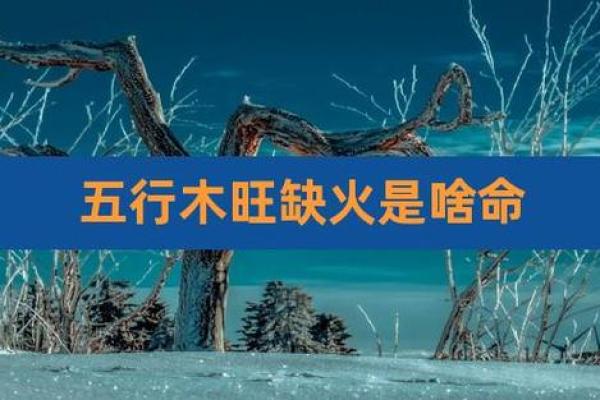 木命人五行缺火的命格解析与调理方法