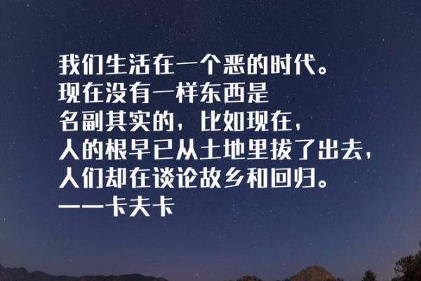 卢气卢命：闽南话中的智慧与哲理探讨