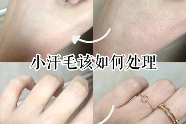 连毛胡子男人的命运：解读与探索人生的秘密