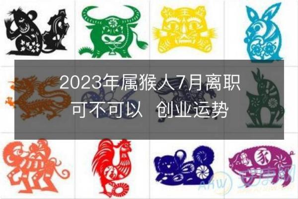 如何为木猴命的人选一个合适的名字，增加人生运势？