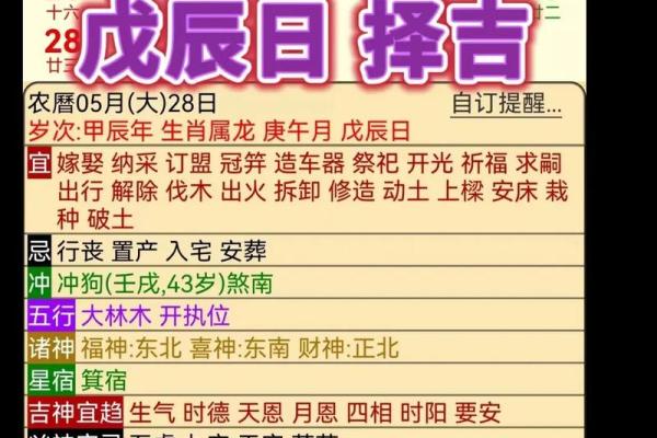 探寻龙与狗的命运：五行之间的神秘联系