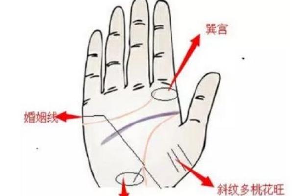 命带四桃花：解析桃花运与人生的奇妙联系