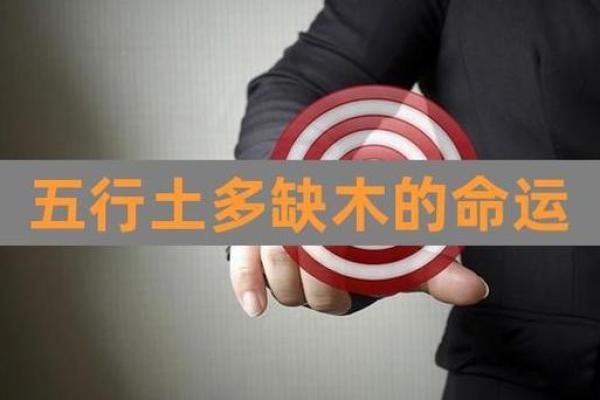 路旁土命羊女：缺什么与如何弥补的全面解析