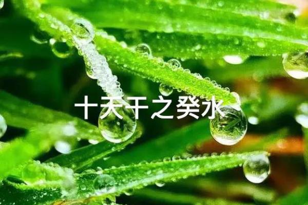 探究女命天干癸水的深刻意义与人生启示