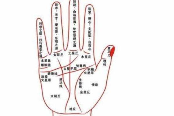 从面相和手相看女性的命运与人生轨迹