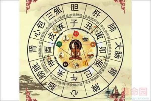 命里缺水的人生运势与调理方法探讨