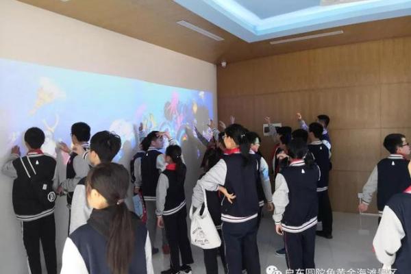 密不透风的谜：生命的奥秘与探索之旅