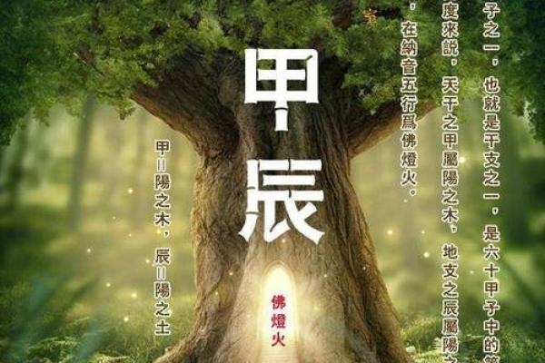 木命缺水的朋友适合佩戴哪些饰品来改善运势？