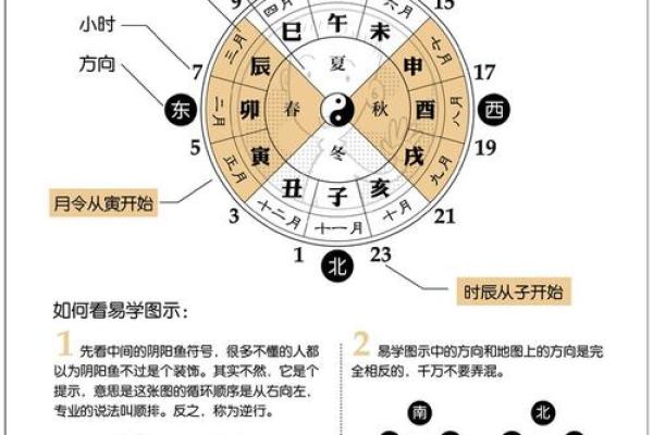 炉中火命的命理解析与生活指南