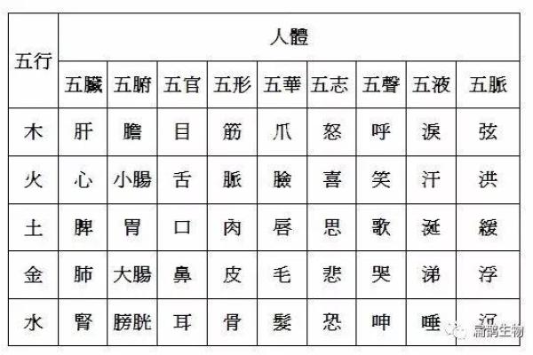 五行命理与中医：探寻你的健康密码