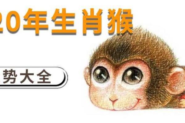 路旁土命与善水命的相辅相成：和谐人生的密钥