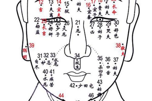 揭示女人的命运：从娘娘命到多种生命轨迹的探讨