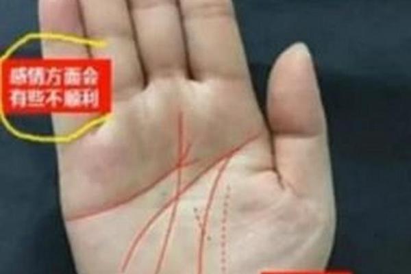 命多乖舛的深意：命运与选择的交织