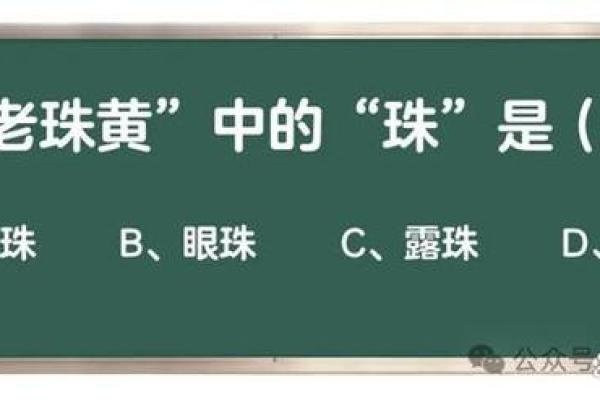 探究女命三进水的深意与人生智慧