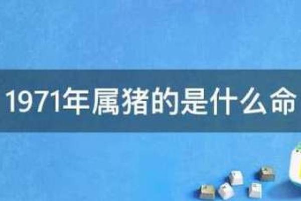 卯时出生的属猪与属兔，吃草命的命运解析与启示