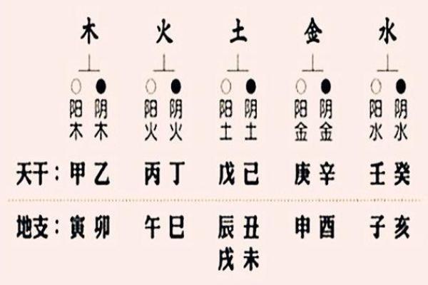 木命克什么？揭开五行之谜，探索木命的奥秘！
