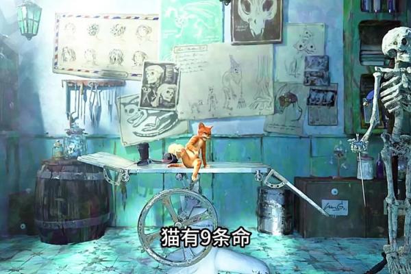 猫九条命的神秘传说：你不知道的猫咪秘密