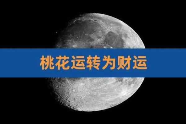 路旁土命家居挂什么图最旺运，提升财运与桃花运！