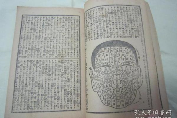探索命运：1996年5月18日的命理解析与人生启示