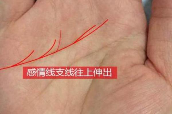 路旁土命女人：如何找到命中注定的另一半？