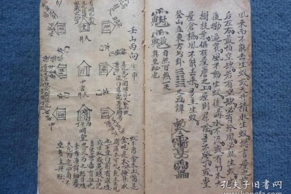 命里带什么？探寻中国传统武术与命理的深层联系