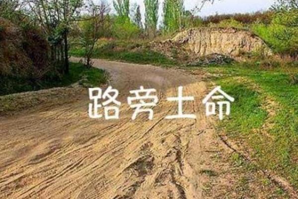 路旁土命羊女：探索她们缺失的情感与成长之路