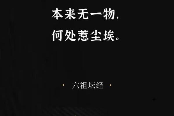 “没得命没得命” —— 探索生命的深刻意义与情感共鸣