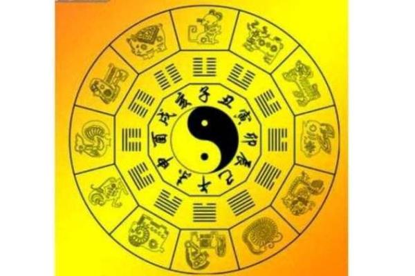 1994年11月出生的人命理解析与人生走向