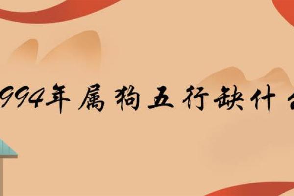 1994年11月出生的人命理解析与人生走向