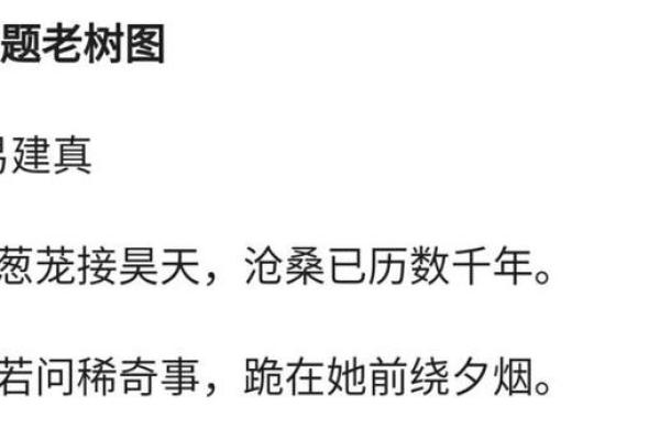 命格七绝：揭示命运之中的奥秘与智慧