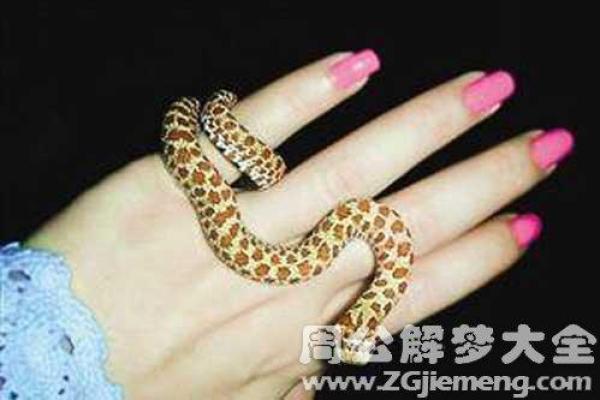 梦到救了老婆一命：解梦背后的深意与情感探讨