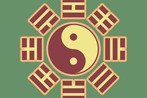 女命八字解析：走官运与人生方向的深度解读