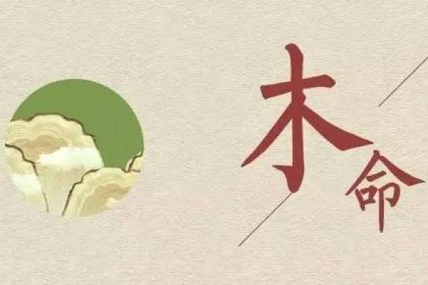 木命身弱与金命：喜用神的探讨与生活启示