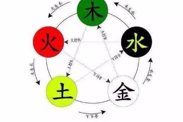 木命身弱与金命：喜用神的探讨与生活启示