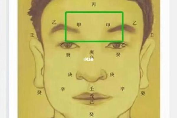 探秘女命己土，揭示她的配偶星与命运关系