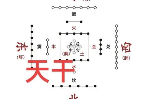 探秘女命己土，揭示她的配偶星与命运关系
